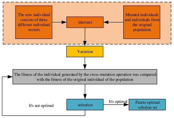 Crossover, variation and selection process of differential evolution algorithm.