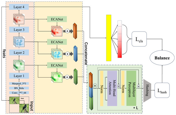 An overview of the proposed which uses the fused image feature approach and the multi-head attention with multi-task balanced loss method for hashing.