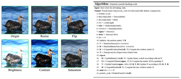 Basic several image preprocessing operations with offline feature compression process pseudo-code.