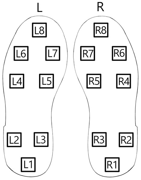Shoe sole sensor positions.