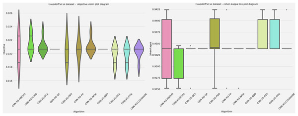 Hausdorff et al. (2007) objective and Cohen kappa distributions plots.