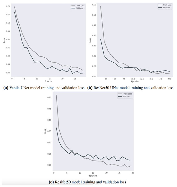 Training and validation loss curve visualization.