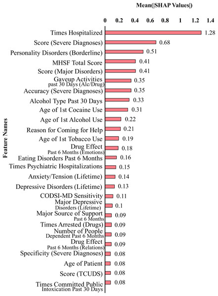 Feature contributions by SHAP values excluding suicidal ideation features.