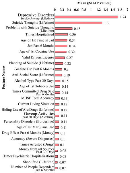 Feature contributions by SHAP values including suicidal ideation features.