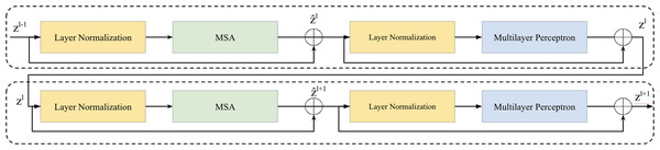 Two successive Vision Transformer blocks.