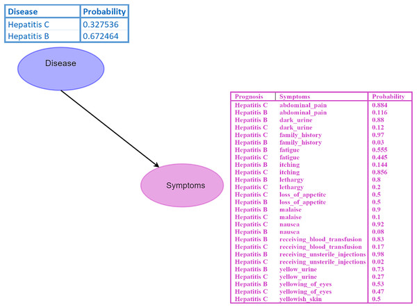 Bayesian network (BN).