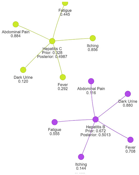 Symptom clusters for Hepatitis B and Hepatitis C using a naive Bayes algorithm, showing the overlap and associations between symptoms based on conditional probabilities.