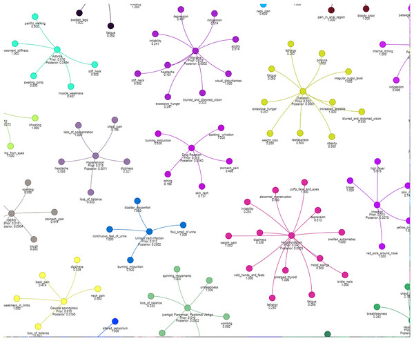 Results of a clustering algorithm applied to a dataset of symptoms.