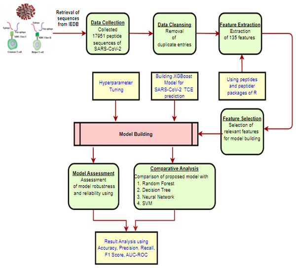 The proposed methodology workflow.