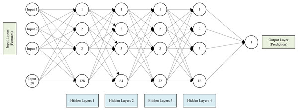 Architecture of the neural network model.