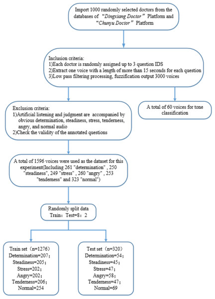 Dataset production flowchart.