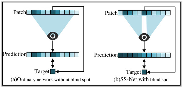 Comparison between self-supervised SS-Net and ordinary network training methods.