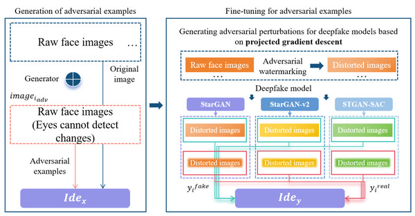 Adversarial example generation and fine-tuning.