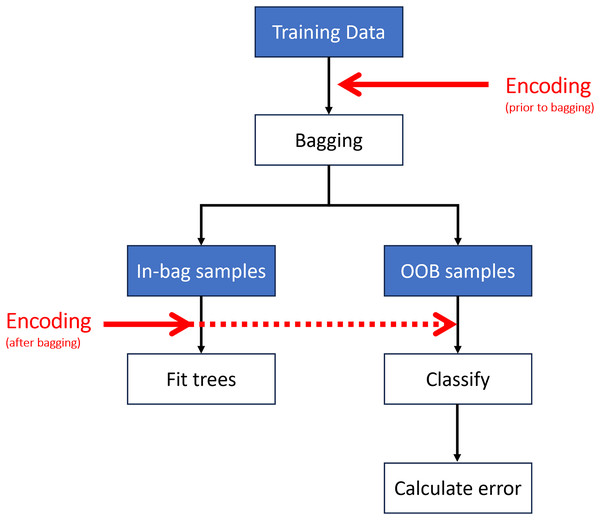 Encoding may take place prior to or after creating the out-of-bag (OOB) samples.