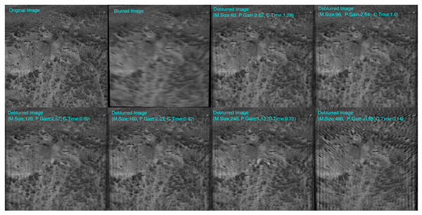 Images deblurred using different mesh-sizes (M.size) are shown together with original and blurred images. Corresponding PSNR-Gain (P.Gain) in dB, and computation time(C.Time) in seconds are indicated on top of the images.