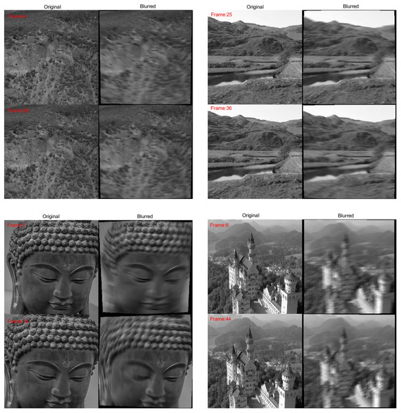 Examples of original and blurred images from Datasets 1, 2, 3 and 4.