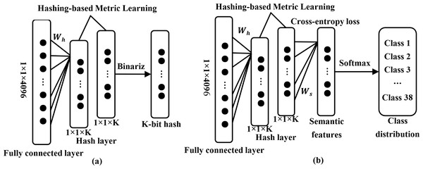 Hash layer and softmax classifier in deep feature transformation.