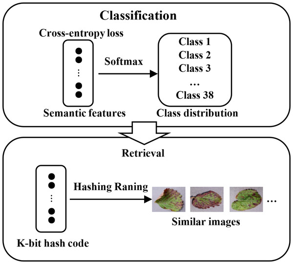 Schematic diagram of retrieval based on hash codes and class distribution.