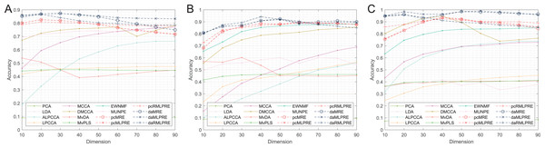 Classification accuracies with a different dimension.