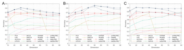 Classification accuracies with a different dimension (0.1 salt-pepper noise).