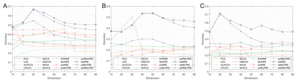 Classification accuracies with a different dimension (0.3 salt-pepper noise).