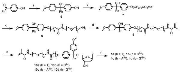 Chromatography-free synthesis of the precursors 10a-d to the polymerizable tagging phosphoramidites (PTPs) 1a–d.