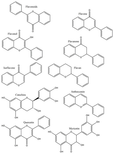 The structure of major flavonoids supplemented in poultry feed.