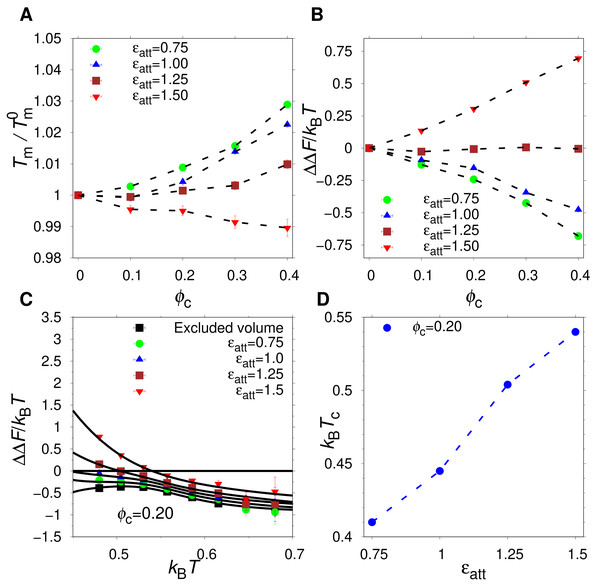 Effect of hydrophobic crowders on the native state stability.