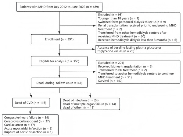 The study flow chart of the enrollment of MHD patients.