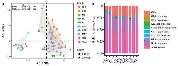 Fungal β diversity (PCoA) (A) and relative abundance of fungi (B).