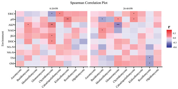 The correlation analysis of environmental factors and fungi (at phylum level) at two soil depths.