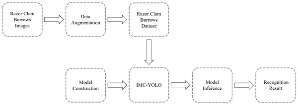 Process of detecting razor clam burrows.