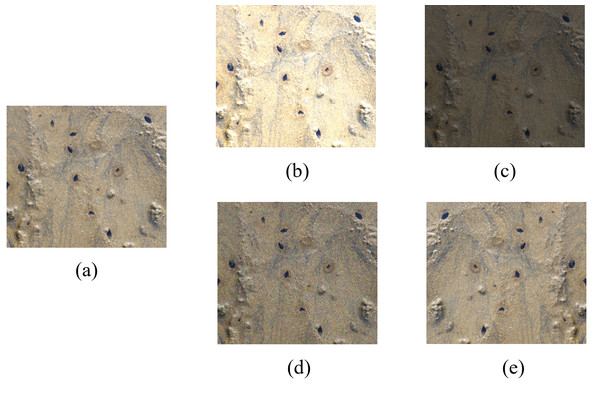 Different data augmentation methods.